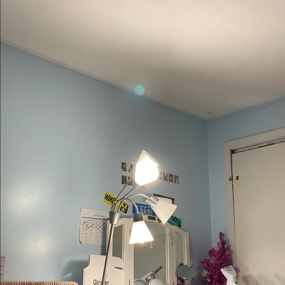 Meet your Posher, Kyra - Picture 1 of 1